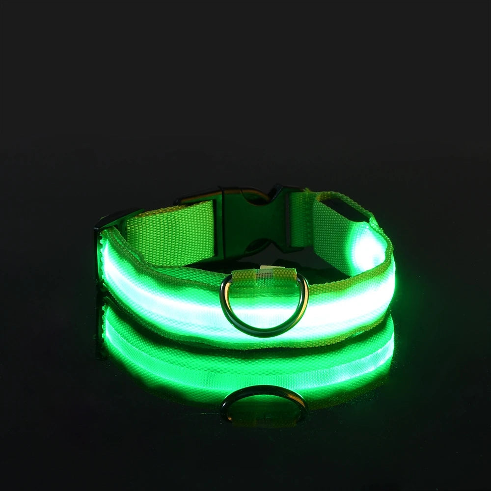 Collier de chien en nylon à LED