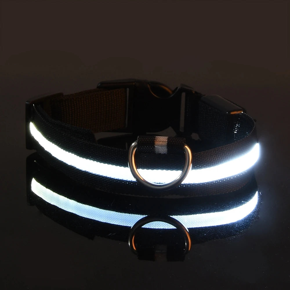 Collier de chien en nylon à LED