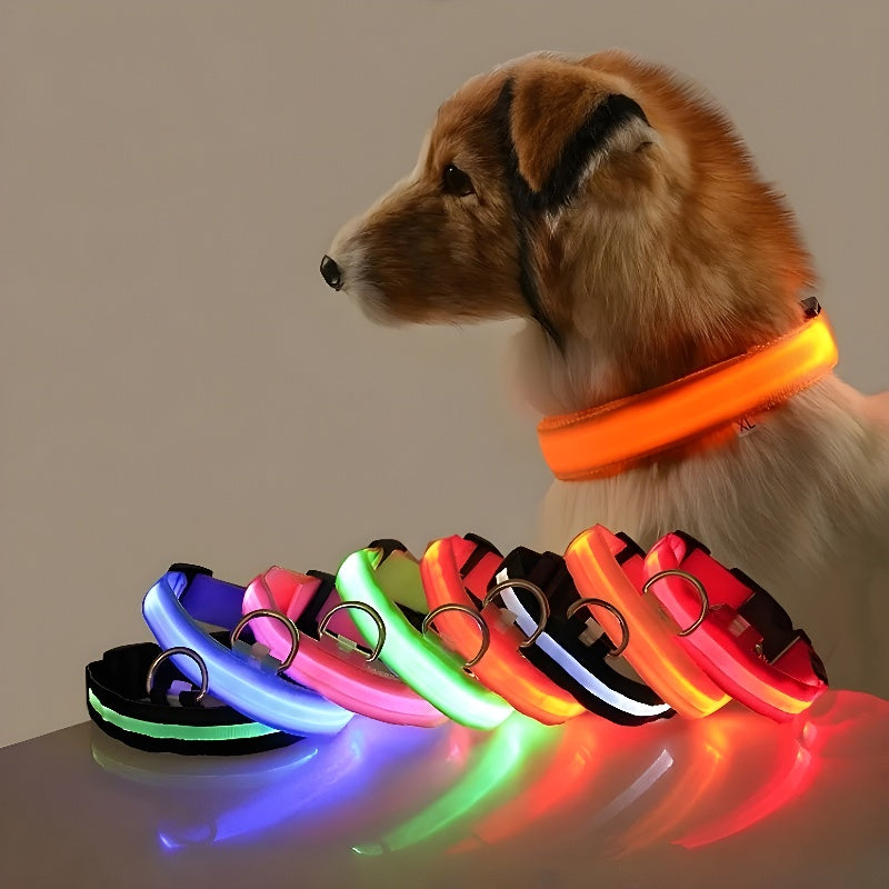 Collier de chien en nylon à LED