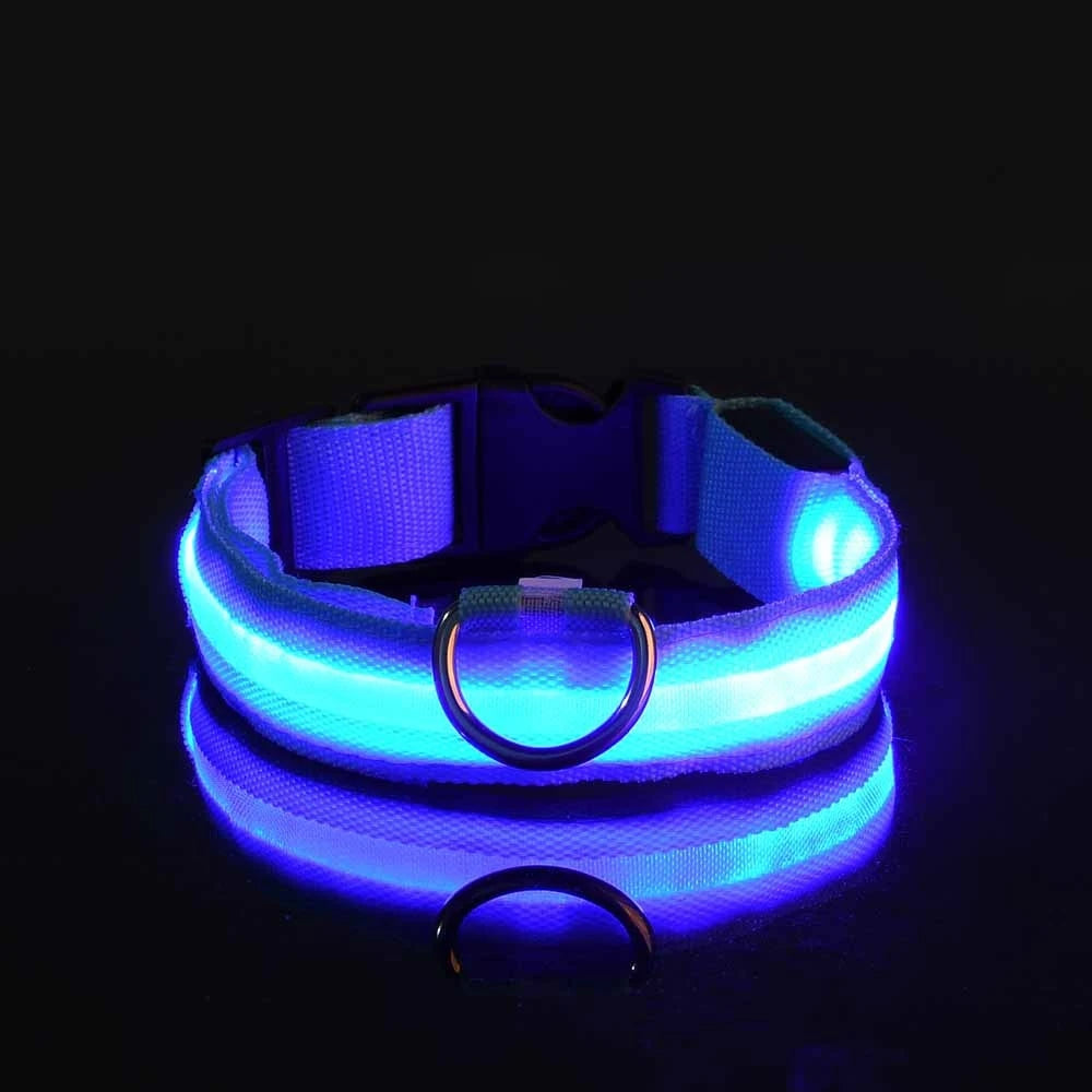 Collier de chien en nylon à LED